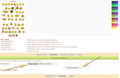 file1.jpg